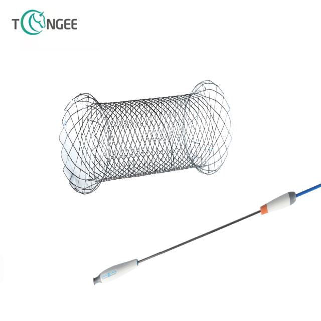 Introduction system for different parts of medical stent