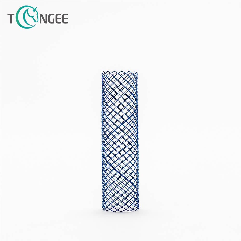 What Are The Different Types of Biliary Stents?