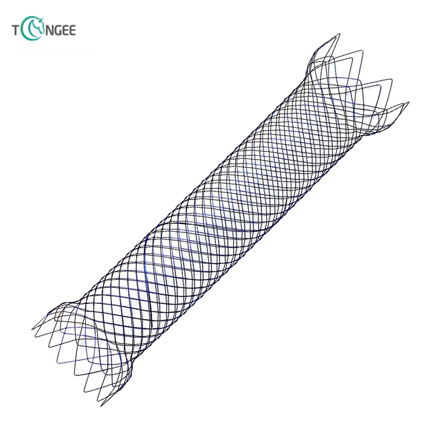 Intestinal Stent - Duodenal Stent