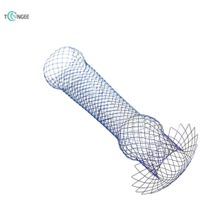 Customized Stent - Based on Customer Design