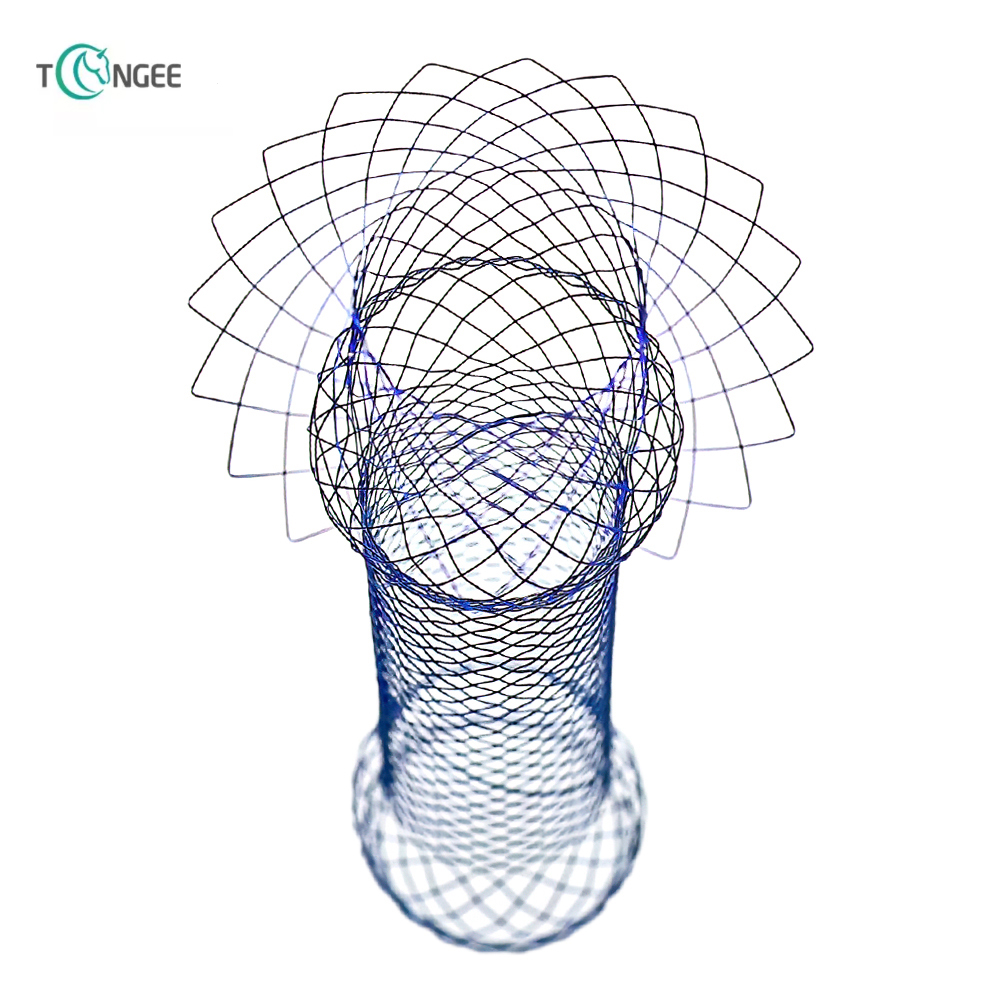 Esophagus stent 4
