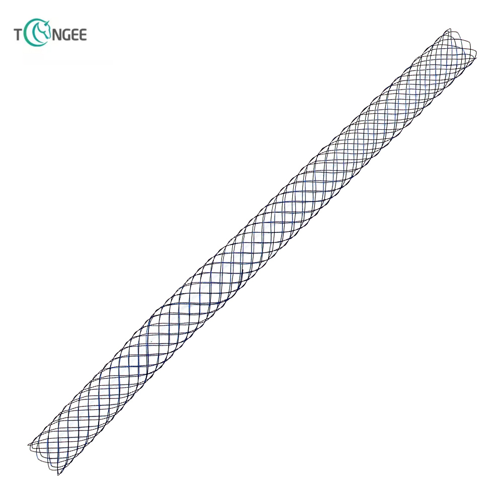 Biliary stent 1