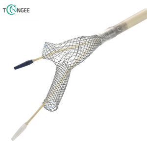 Medical Nitinol Silicone Segmented Stent with Delivery System