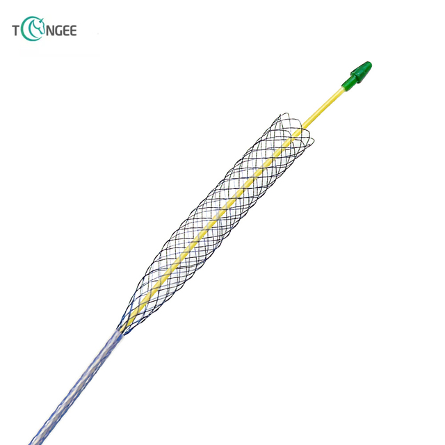 Biliary Stent - ERCP Introducer System 