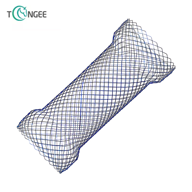 Intestinal stent 1