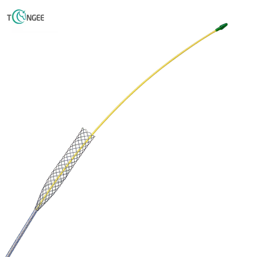 Biliary stent 3