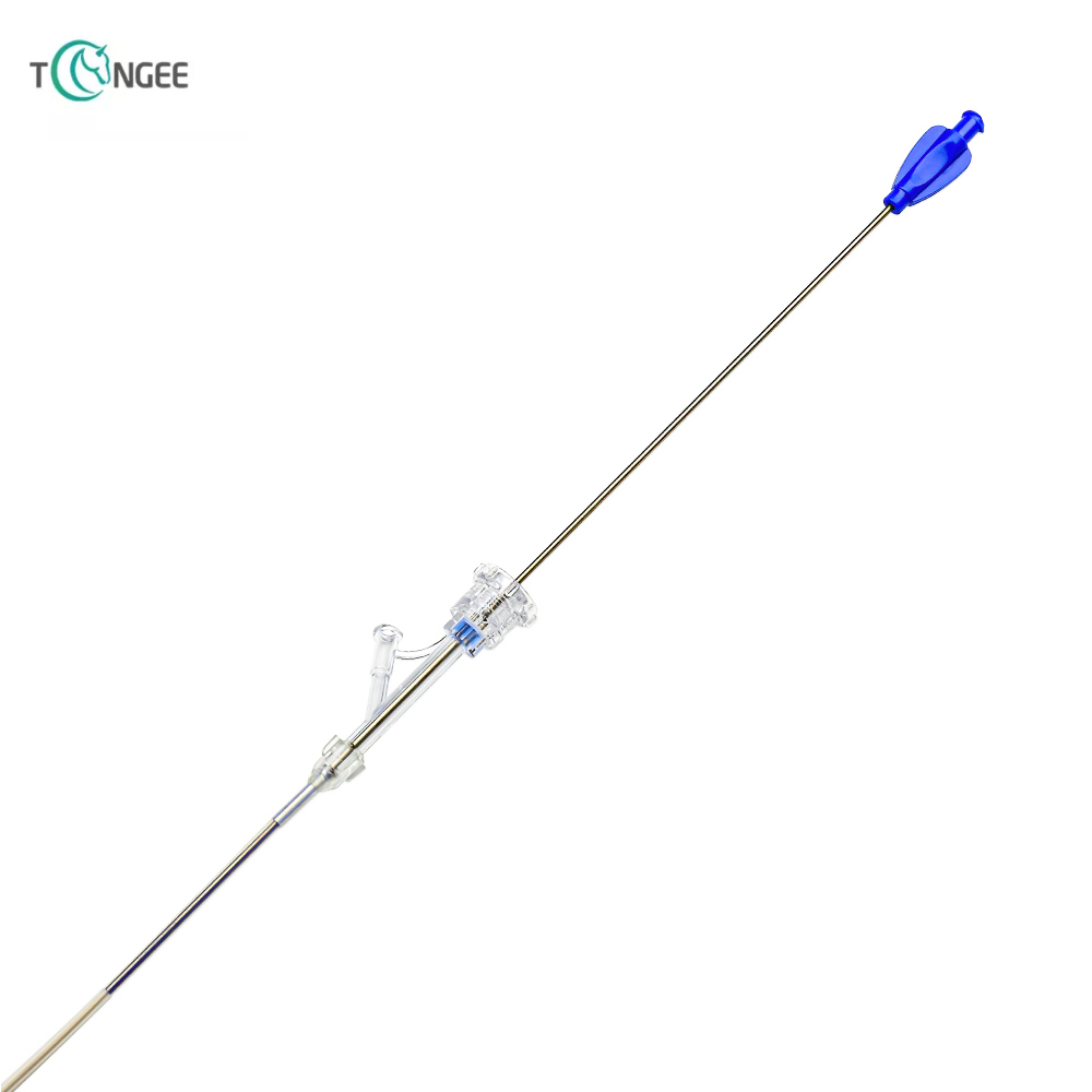 Biliary stent 4