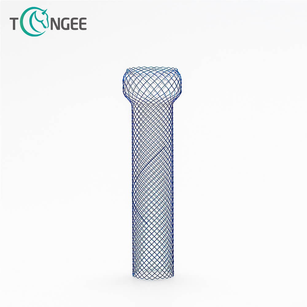 What foods to avoid after ERCP with intestinal stent?