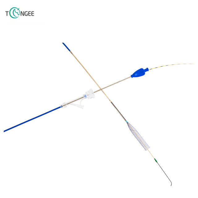 Intestinal Stent - Rectum Stent