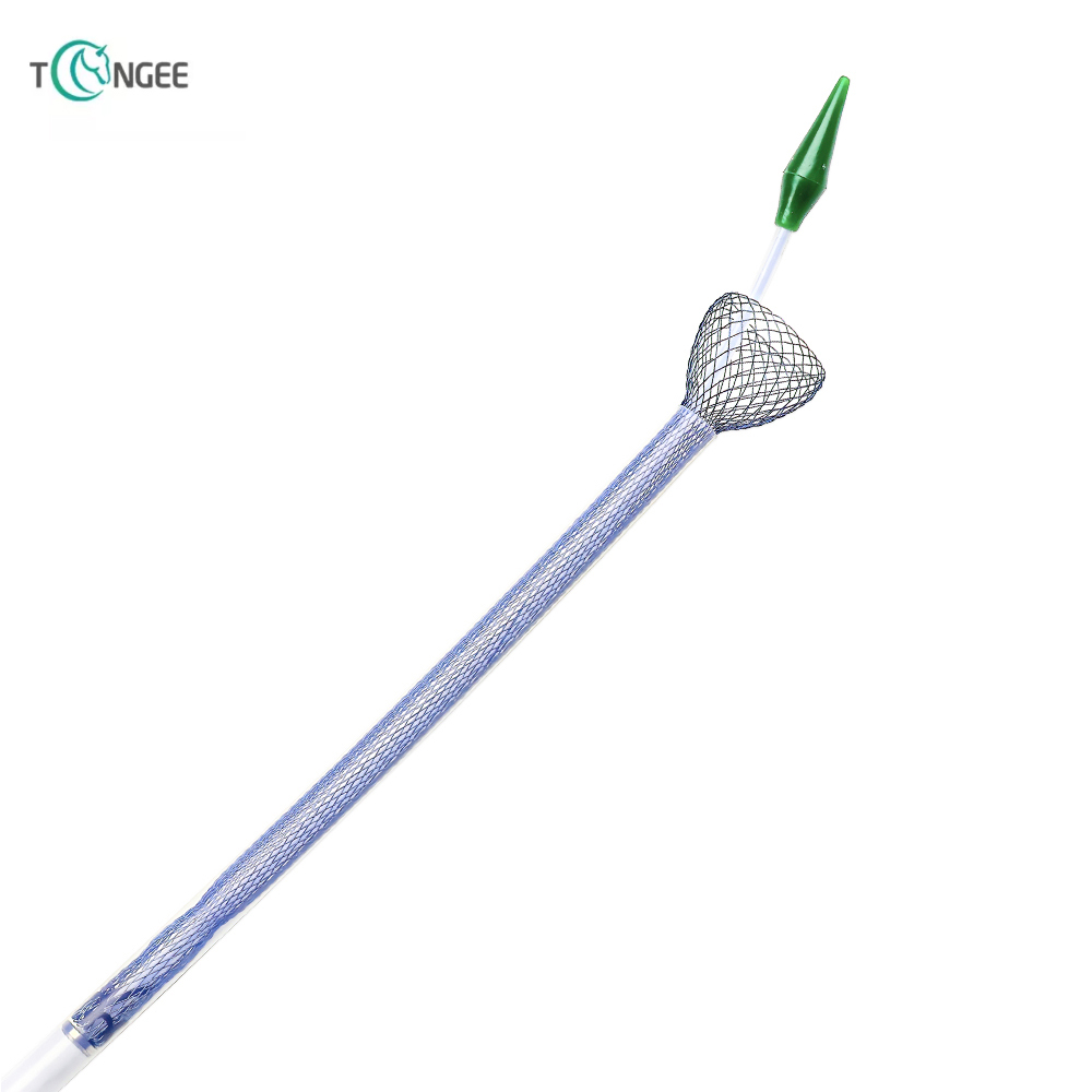 Esophagus stent 3