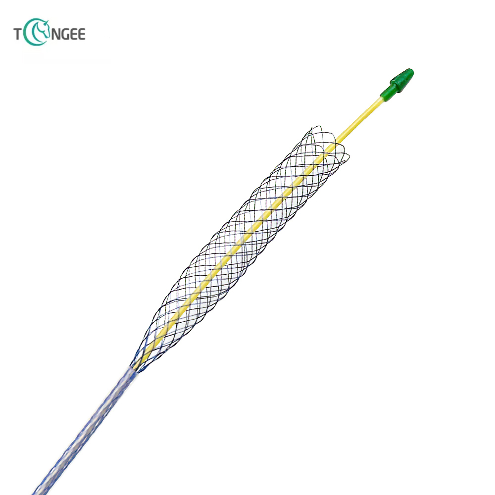 Biliary stent 2