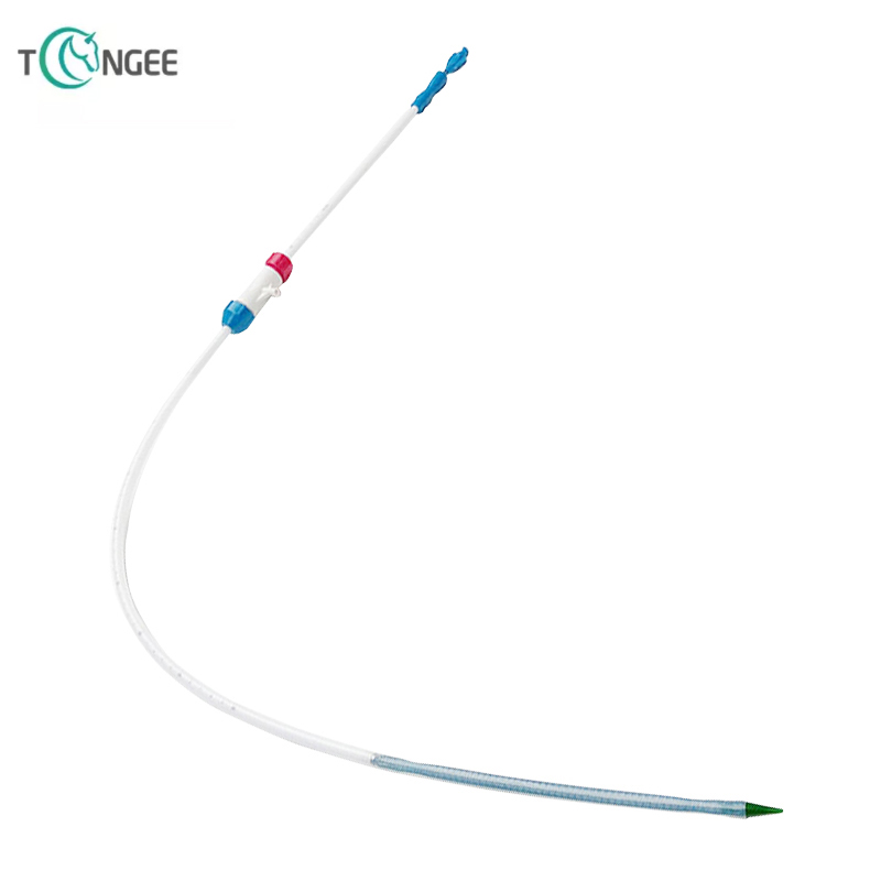 Introduction system for different parts of medical stent