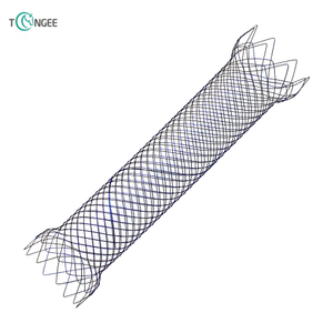 Intestinal Stent - Pylorus Stent