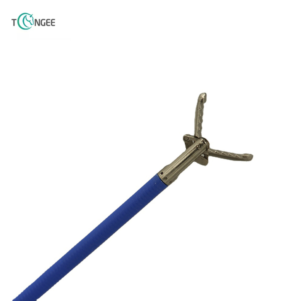 What are the names of biopsy forceps?