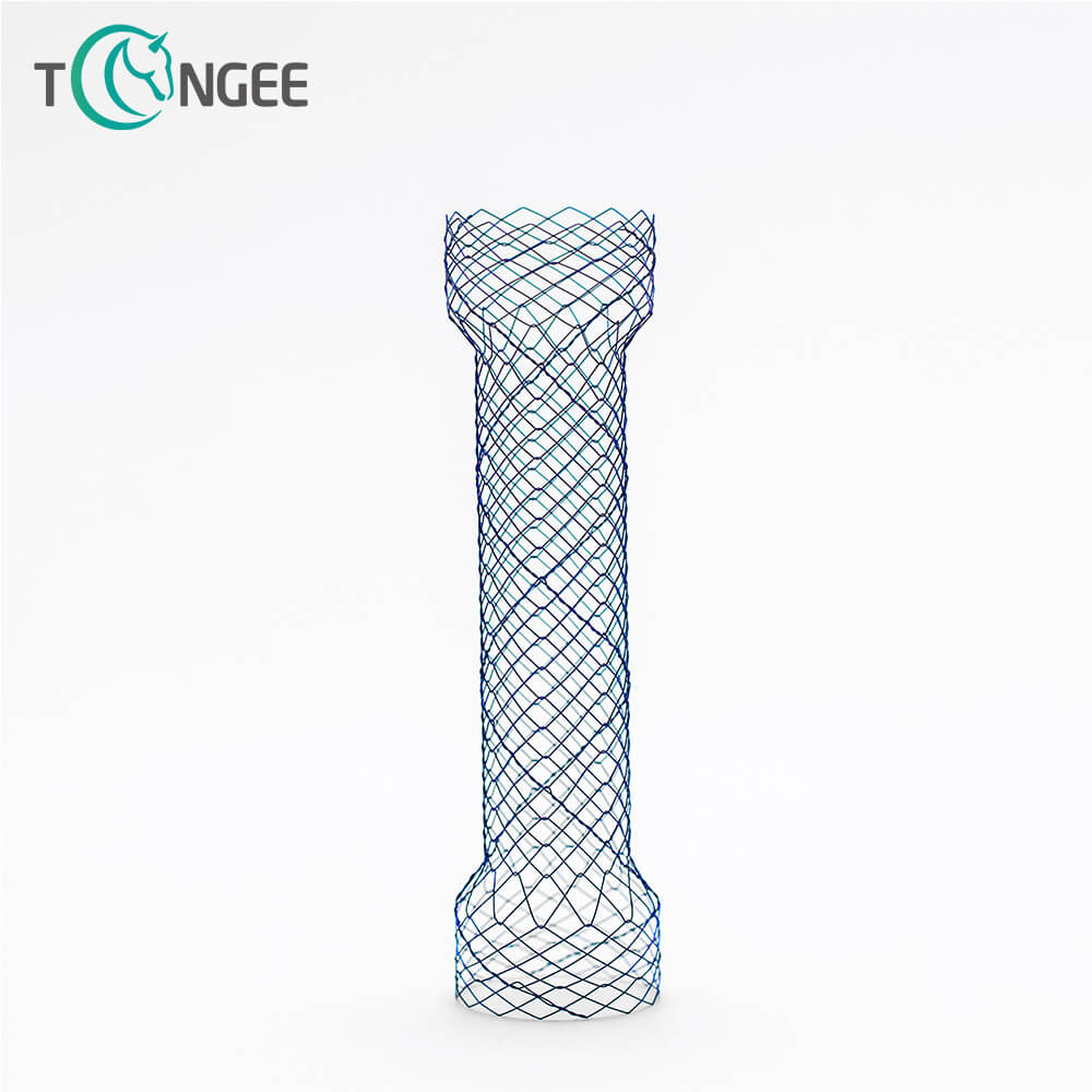 What Are The Contraindications for Tracheal Stents?