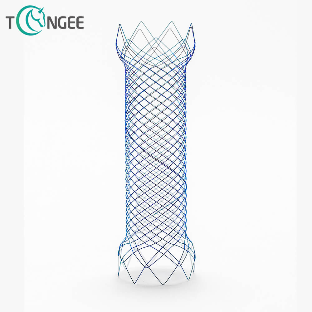 Which manufacturers are known for high-quality nitinol stents?
