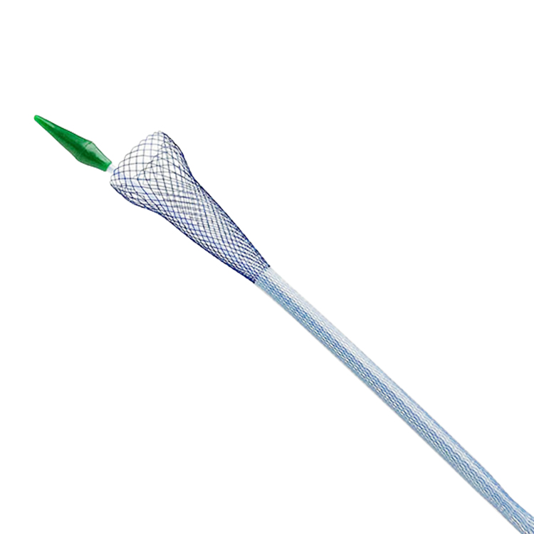 Intestinal stent - Rectum stent