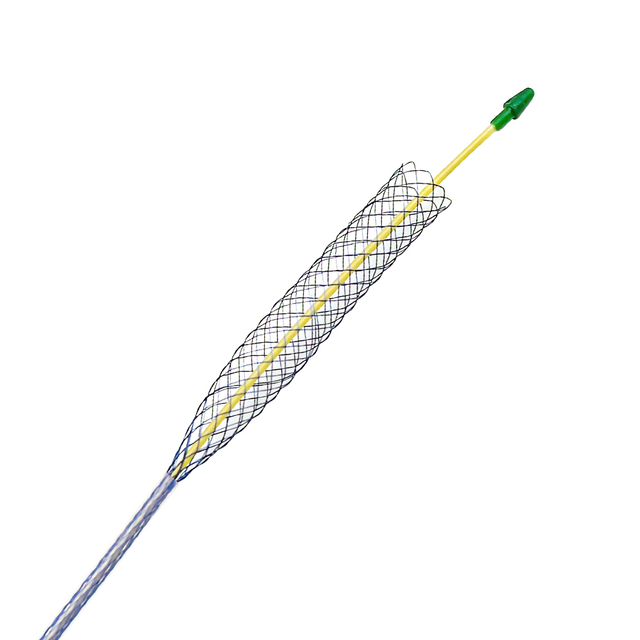 Biliary stent - ERCP Introducer system 