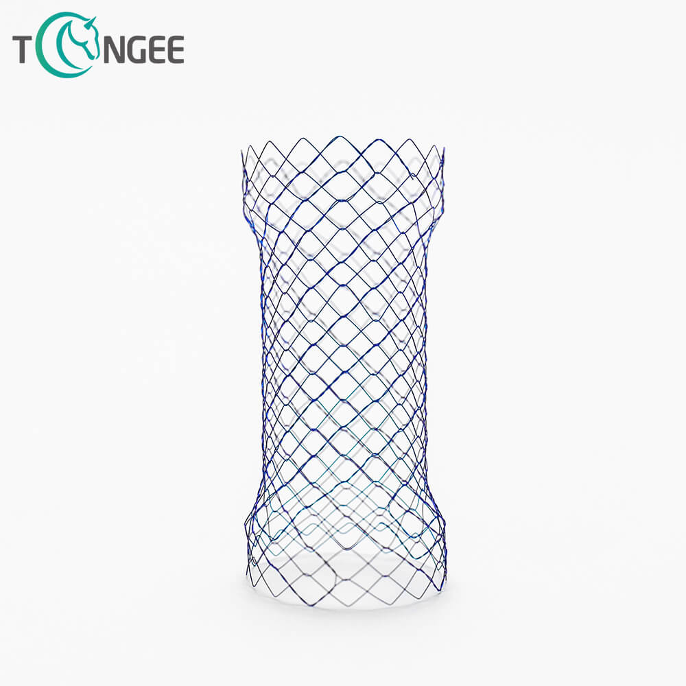 What are the advancements in surgical stent technology? - Hangzhou ...